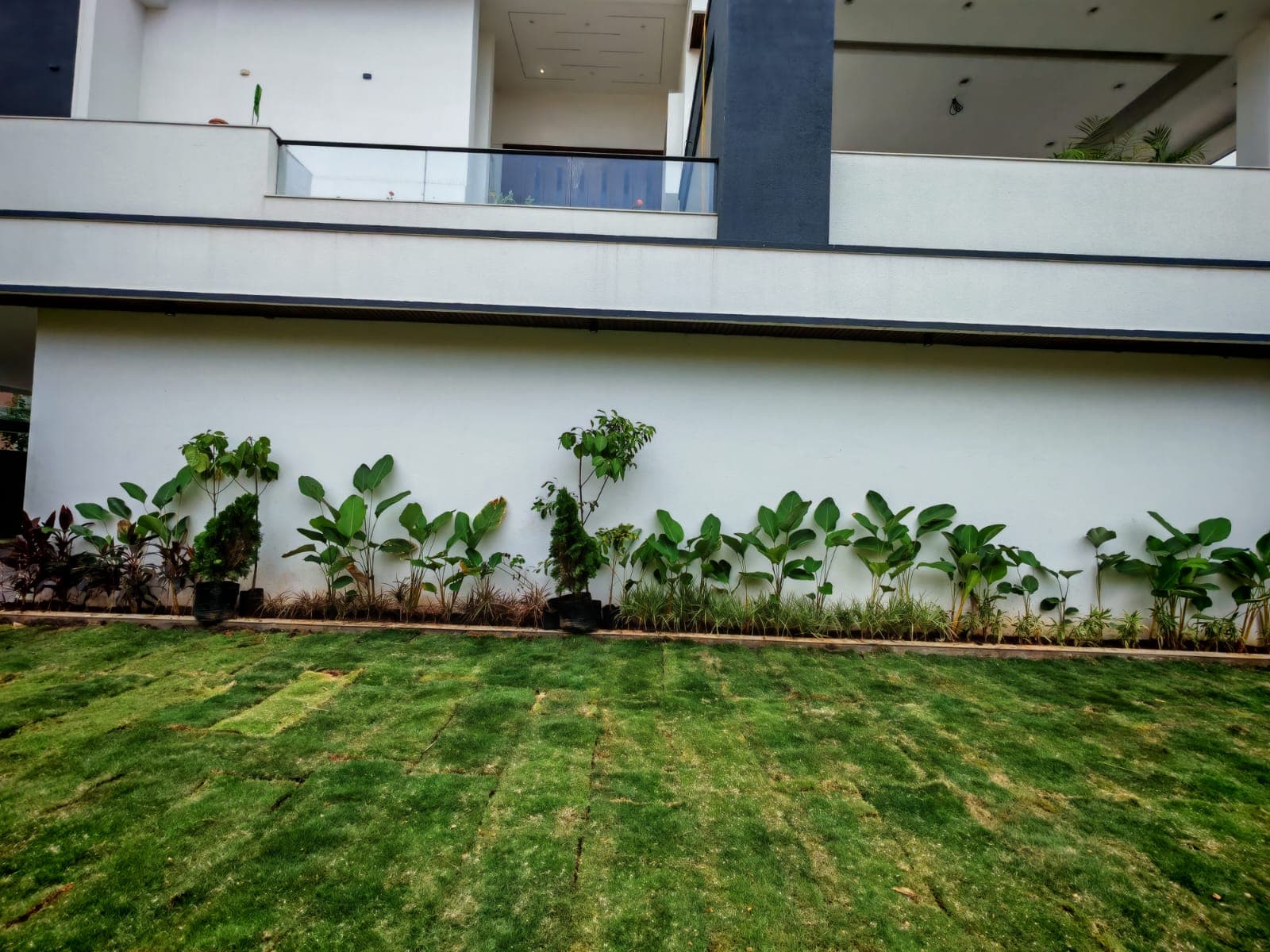 Plant Supply & Nursery Services